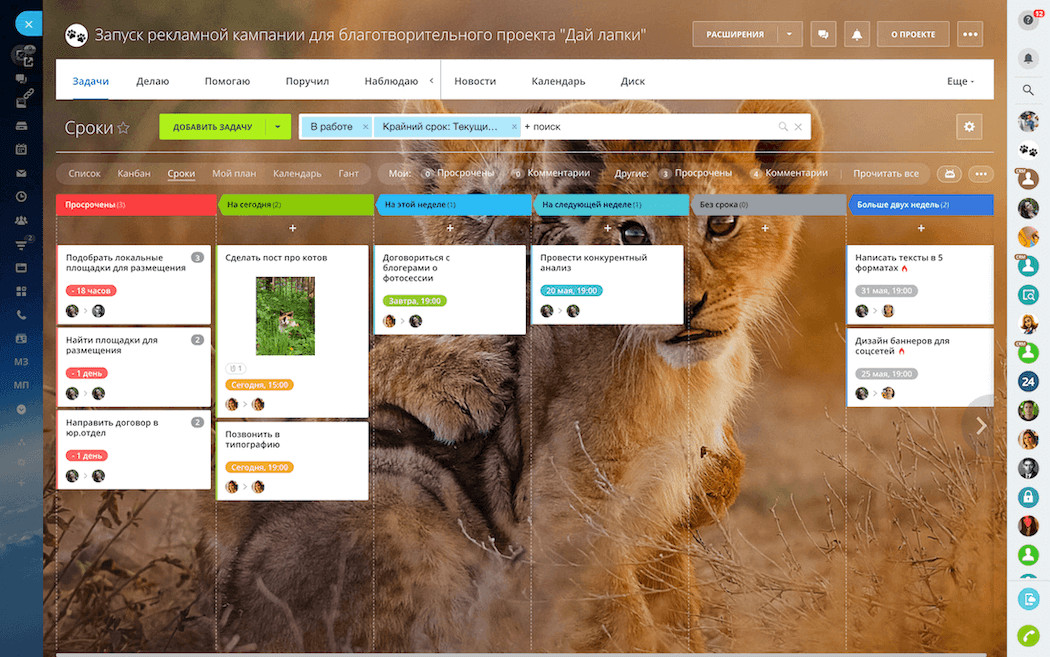 Проекты в Битрикс24 Проекты в Битрикс24