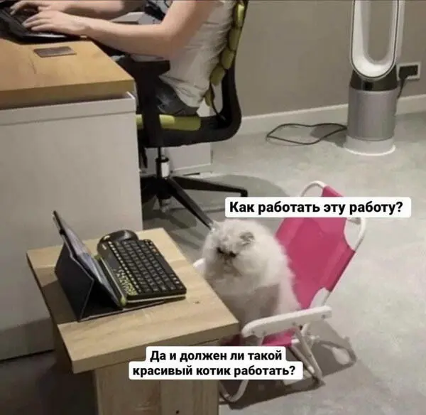 Мем - как работать эту работу?