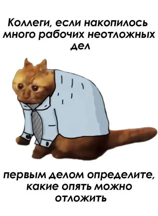 Мем с котом - если накопилось много рабочих неотложных дел, первым делом определите, какие опять можно отложить
